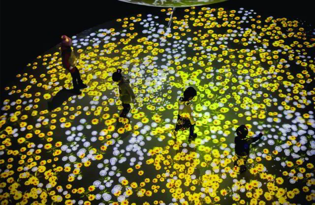 Contact Mapping