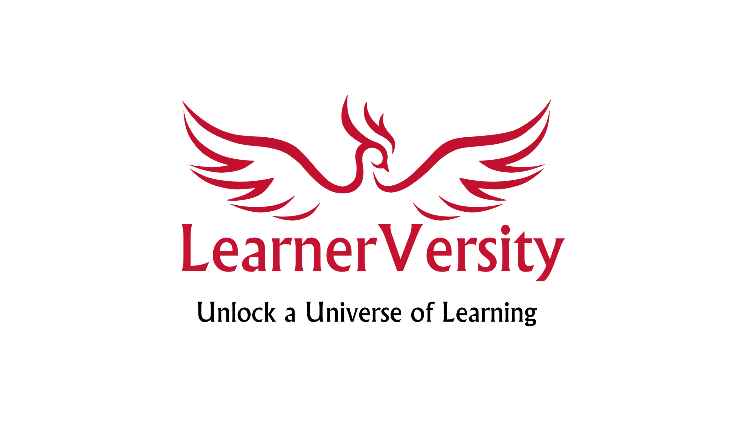 Learnerversity AI Academy
